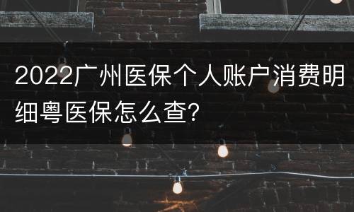 2022广州医保个人账户消费明细粤医保怎么查？