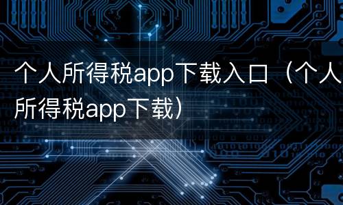 个人所得税app下载入口（个人所得税app下载）