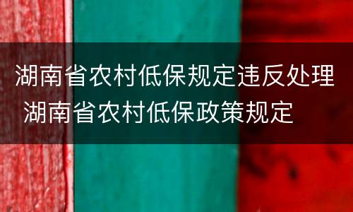 湖南省农村低保规定违反处理 湖南省农村低保政策规定