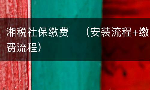 湘税社保缴费​（安装流程+缴费流程）