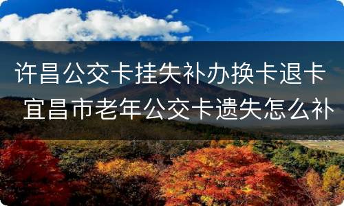 许昌公交卡挂失补办换卡退卡 宜昌市老年公交卡遗失怎么补卡