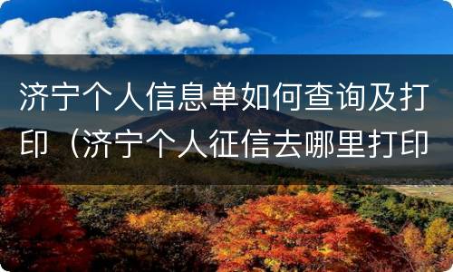 济宁个人信息单如何查询及打印（济宁个人征信去哪里打印）