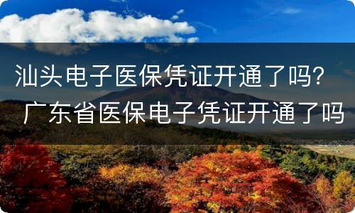 汕头电子医保凭证开通了吗？ 广东省医保电子凭证开通了吗