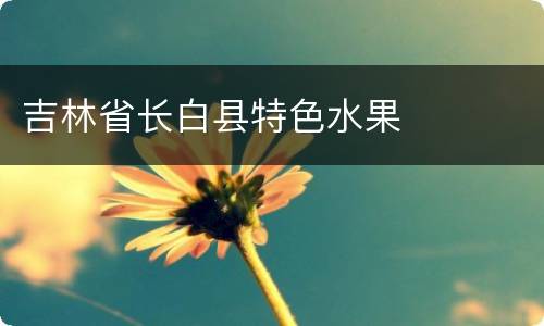 吉林省长白县特色水果