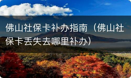 佛山社保卡补办指南（佛山社保卡丢失去哪里补办）