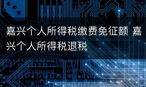嘉兴个人所得税缴费免征额 嘉兴个人所得税退税