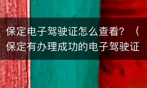 保定电子驾驶证怎么查看？（保定有办理成功的电子驾驶证）