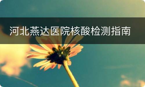  河北燕达医院核酸检测指南
