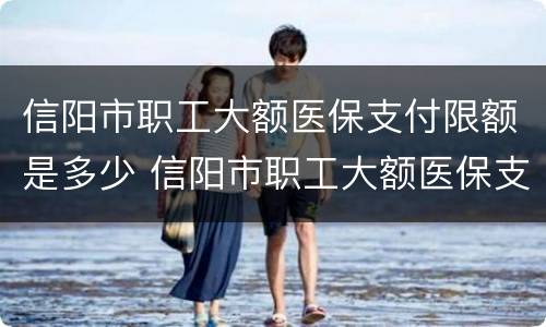 信阳市职工大额医保支付限额是多少 信阳市职工大额医保支付限额是多少啊