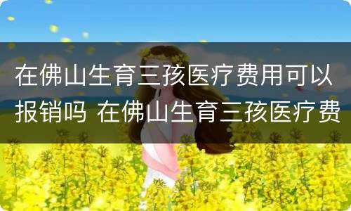 在佛山生育三孩医疗费用可以报销吗 在佛山生育三孩医疗费用可以报销吗多少