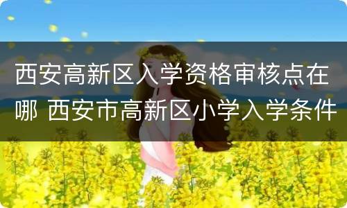 西安高新区入学资格审核点在哪 西安市高新区小学入学条件