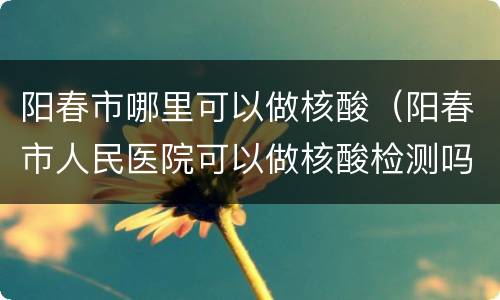 阳春市哪里可以做核酸（阳春市人民医院可以做核酸检测吗）