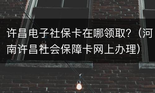 许昌电子社保卡在哪领取?（河南许昌社会保障卡网上办理）