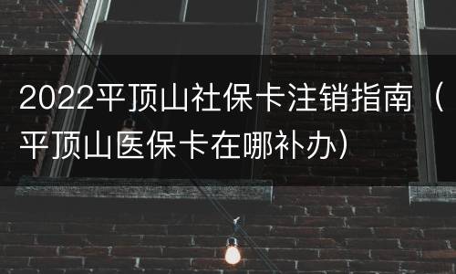 2022平顶山社保卡注销指南（平顶山医保卡在哪补办）