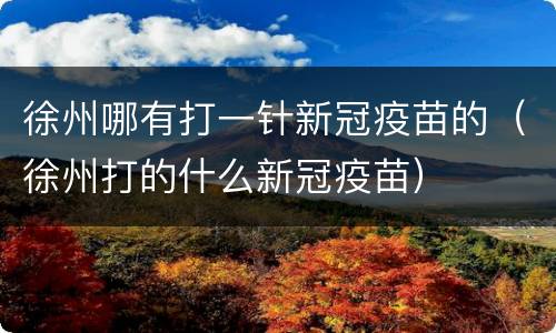 徐州哪有打一针新冠疫苗的（徐州打的什么新冠疫苗）
