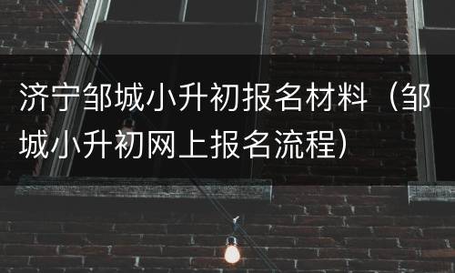 济宁邹城小升初报名材料（邹城小升初网上报名流程）