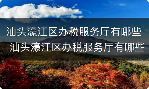 汕头濠江区办税服务厅有哪些 汕头濠江区办税服务厅有哪些业务
