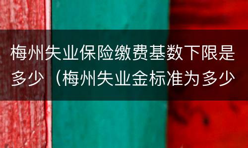 梅州失业保险缴费基数下限是多少（梅州失业金标准为多少）