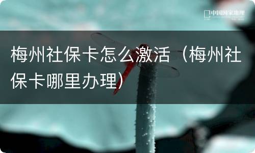 梅州社保卡怎么激活（梅州社保卡哪里办理）