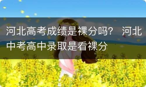 河北高考成绩是裸分吗？ 河北中考高中录取是看裸分