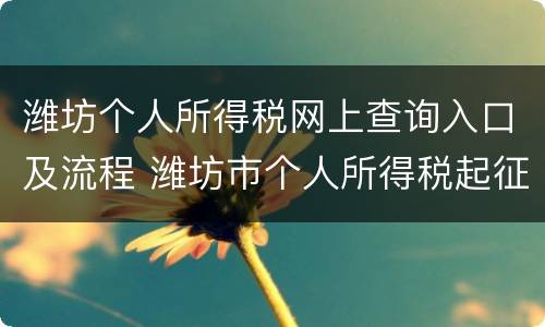 潍坊个人所得税网上查询入口及流程 潍坊市个人所得税起征点