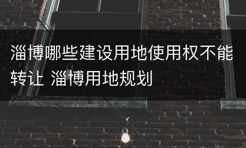 淄博哪些建设用地使用权不能转让 淄博用地规划