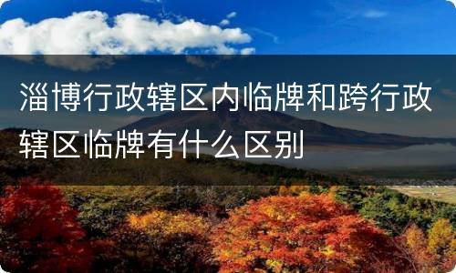 淄博行政辖区内临牌和跨行政辖区临牌有什么区别