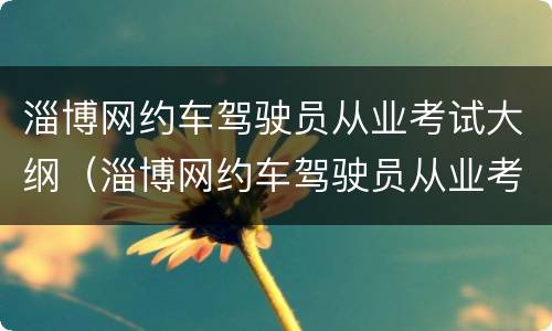 淄博网约车驾驶员从业考试大纲（淄博网约车驾驶员从业考试大纲查询）