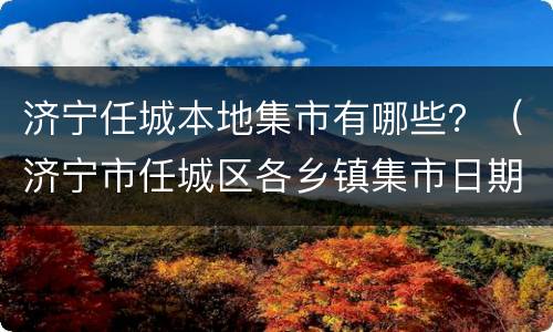 济宁任城本地集市有哪些？（济宁市任城区各乡镇集市日期）