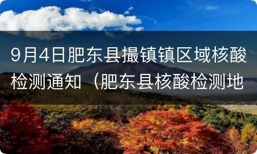 9月4日肥东县撮镇镇区域核酸检测通知（肥东县核酸检测地点）
