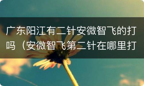 广东阳江有二针安微智飞的打吗（安微智飞第二针在哪里打）