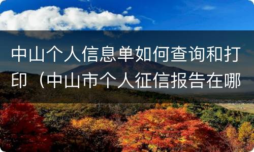 中山个人信息单如何查询和打印（中山市个人征信报告在哪里打印）
