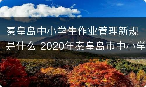 秦皇岛中小学生作业管理新规是什么 2020年秦皇岛市中小学生放假