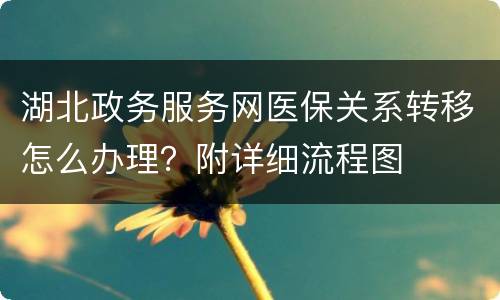 湖北政务服务网医保关系转移怎么办理？附详细流程图