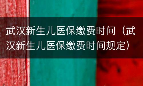 武汉新生儿医保缴费时间（武汉新生儿医保缴费时间规定）