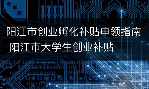 阳江市创业孵化补贴申领指南 阳江市大学生创业补贴