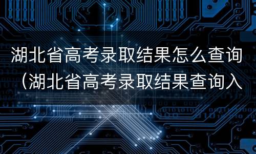 湖北省高考录取结果怎么查询（湖北省高考录取结果查询入口）