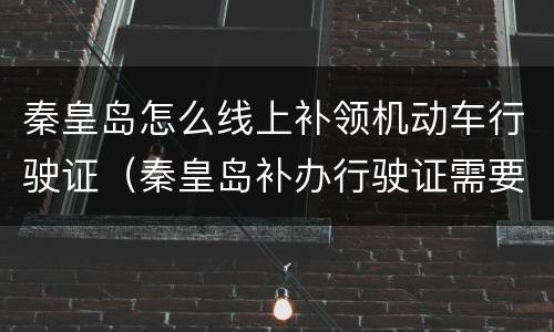 秦皇岛怎么线上补领机动车行驶证（秦皇岛补办行驶证需要带什么资料）