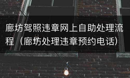 廊坊驾照违章网上自助处理流程（廊坊处理违章预约电话）