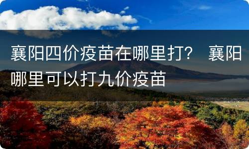 襄阳四价疫苗在哪里打？ 襄阳哪里可以打九价疫苗
