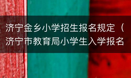 济宁金乡小学招生报名规定（济宁市教育局小学生入学报名通知）