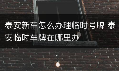 泰安新车怎么办理临时号牌 泰安临时车牌在哪里办