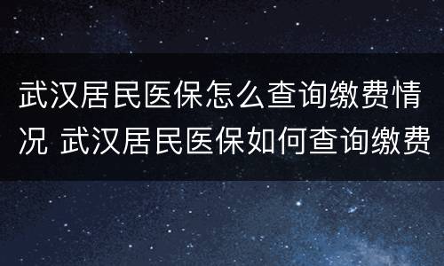 武汉居民医保怎么查询缴费情况 武汉居民医保如何查询缴费情况