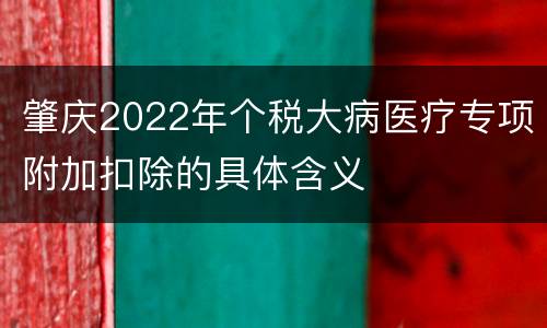 肇庆2022年个税大病医疗专项附加扣除的具体含义