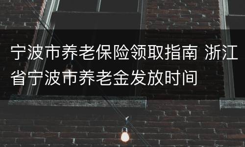 宁波市养老保险领取指南 浙江省宁波市养老金发放时间