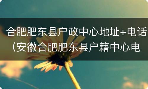 合肥肥东县户政中心地址+电话（安徽合肥肥东县户籍中心电话）
