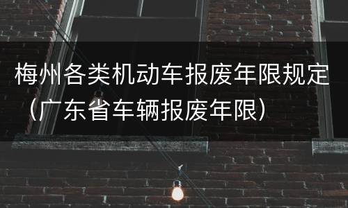 梅州各类机动车报废年限规定（广东省车辆报废年限）