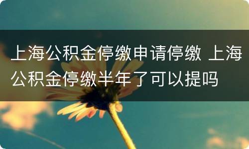 上海公积金停缴申请停缴 上海公积金停缴半年了可以提吗