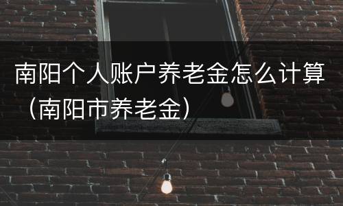 南阳个人账户养老金怎么计算（南阳市养老金）