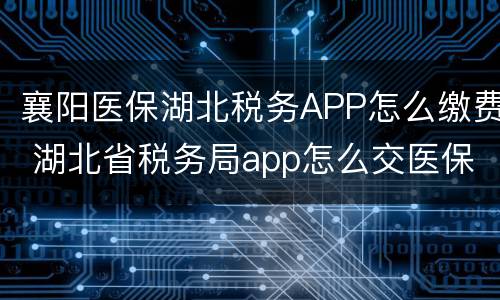 襄阳医保湖北税务APP怎么缴费 湖北省税务局app怎么交医保
